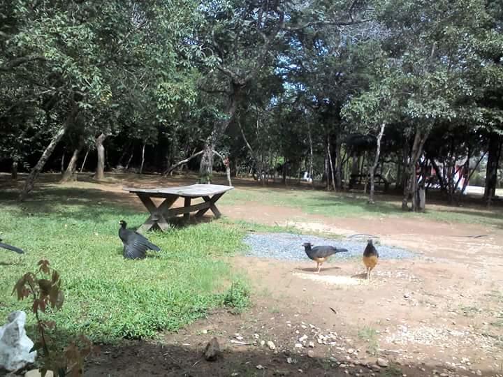 Pousada E Camping Aldeia Da Lua เซาจอร์จิ ภายนอก รูปภาพ